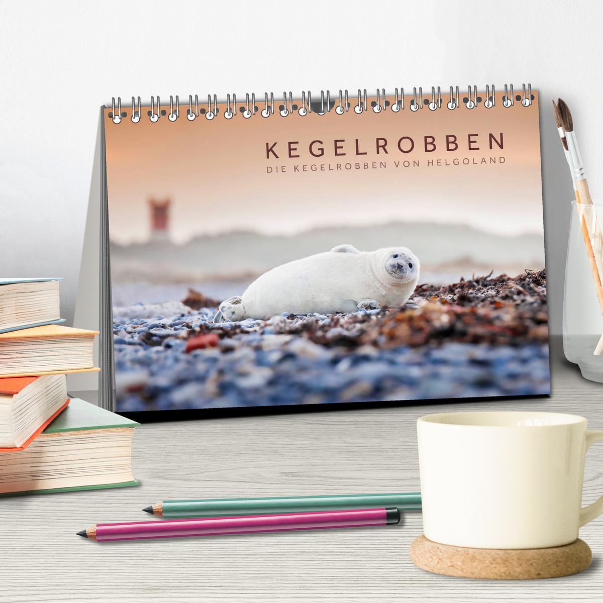 Bild: 9783435250912 | Kegelrobben - Die Kegelrobben von Helgoland (Tischkalender 2025 DIN...