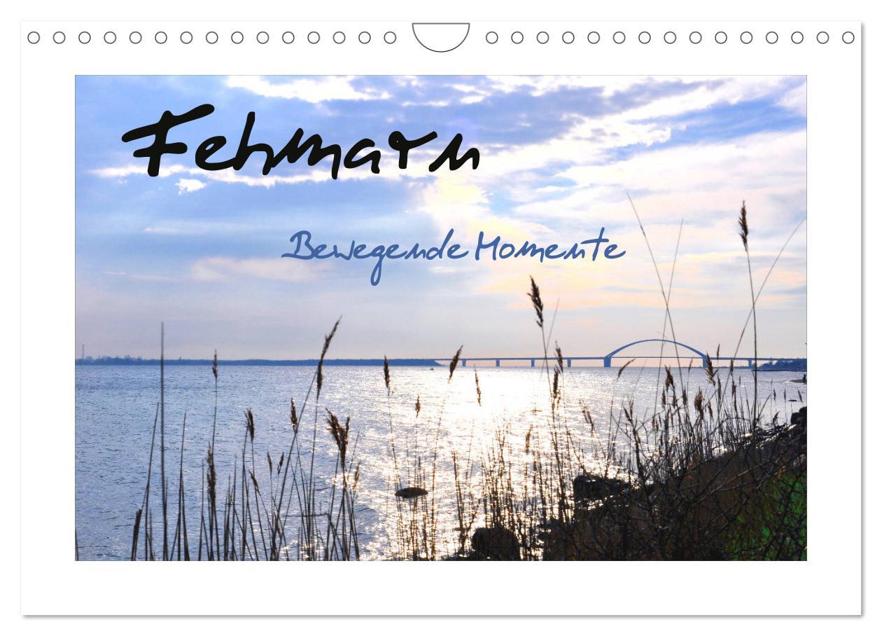 Cover: 9783435433582 | Fehmarn - Bewegende Momente (Wandkalender 2025 DIN A4 quer),...