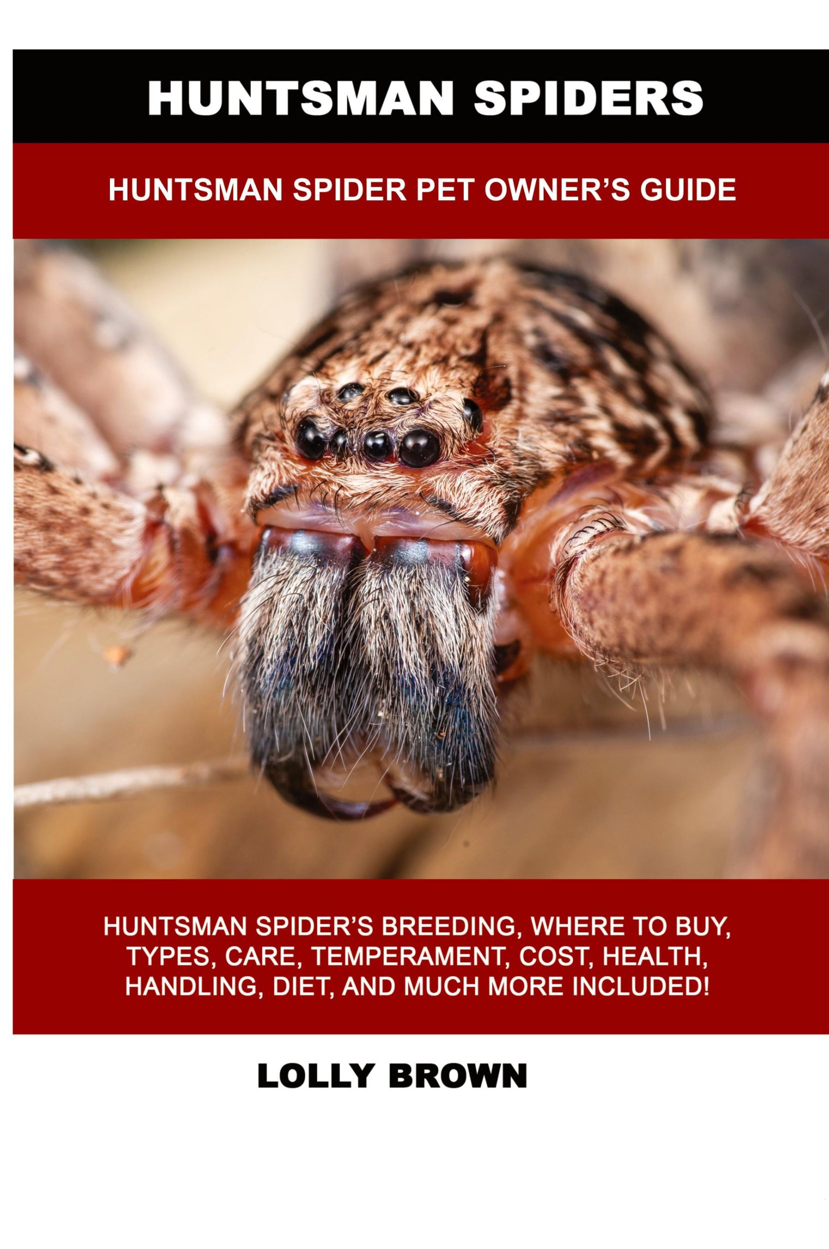 Cover: 9781949555332 | Huntsman Spiders | Huntsman Spider Pet Owner's Guide | Lolly Brown