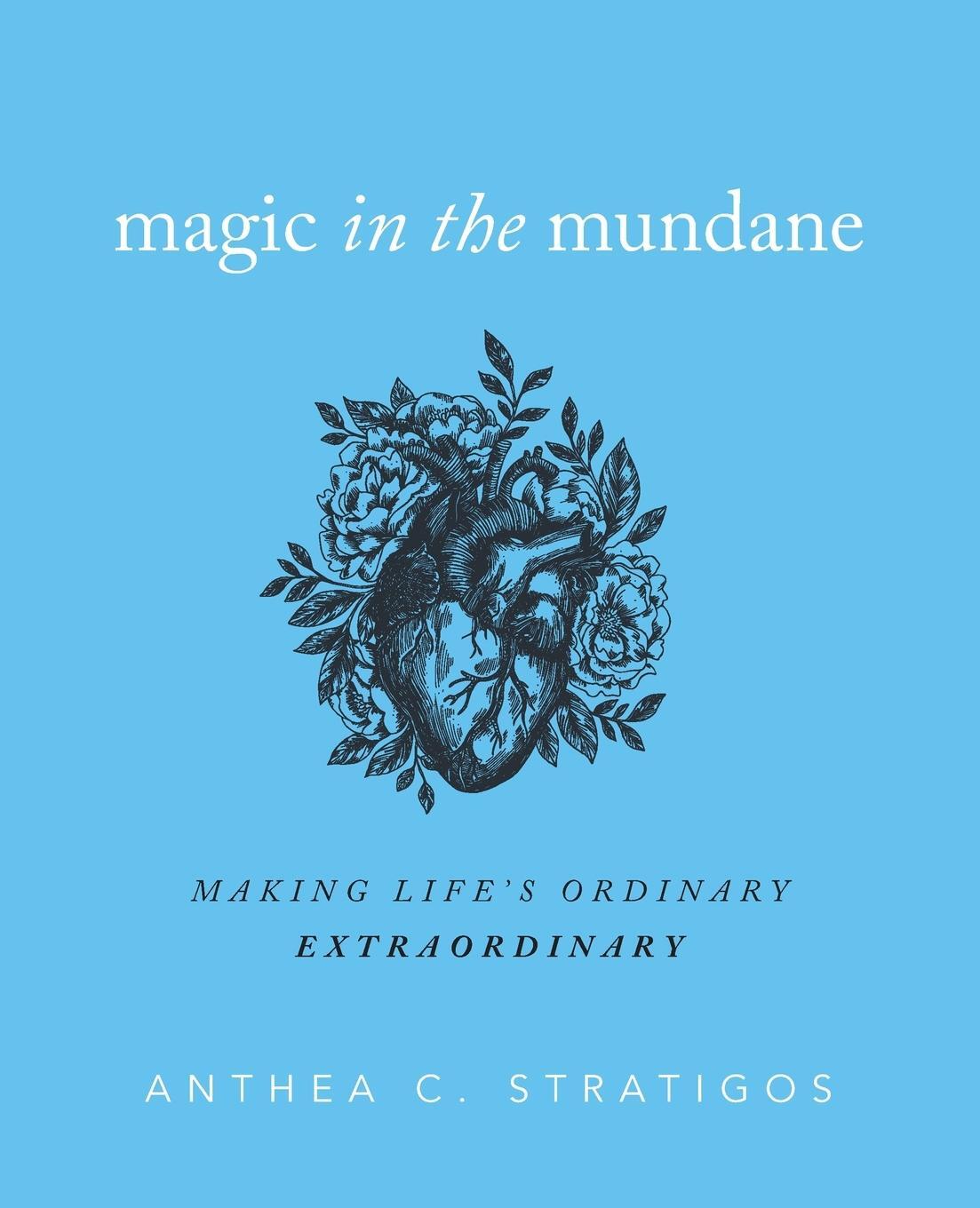 Cover: 9781733460408 | Magic in the Mundane | Making Life's Ordinary Extraordinary | Buch