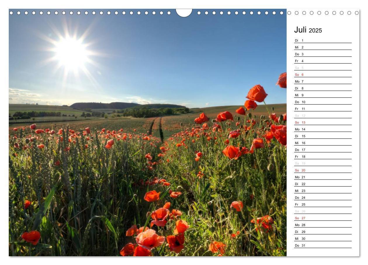 Bild: 9783435218288 | Ein Traum von Mohn (Wandkalender 2025 DIN A3 quer), CALVENDO...