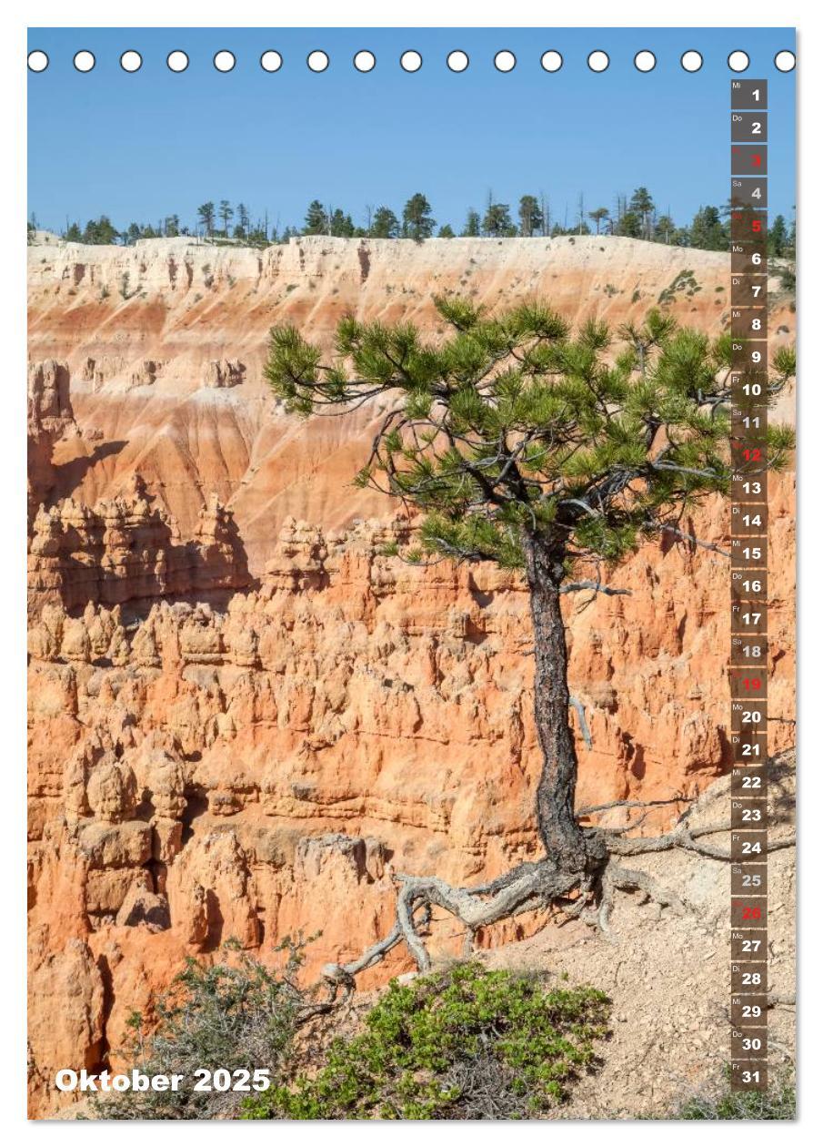 Bild: 9783435972319 | BRYCE CANYON Natur Pur (Tischkalender 2025 DIN A5 hoch), CALVENDO...