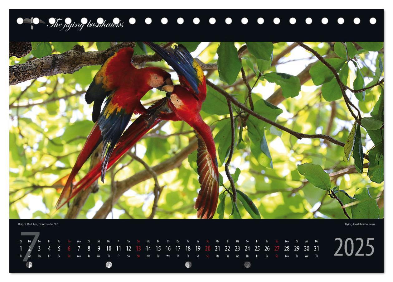 Bild: 9783383815362 | Costa Rica Blickwinkel 2025 (Tischkalender 2025 DIN A5 quer),...