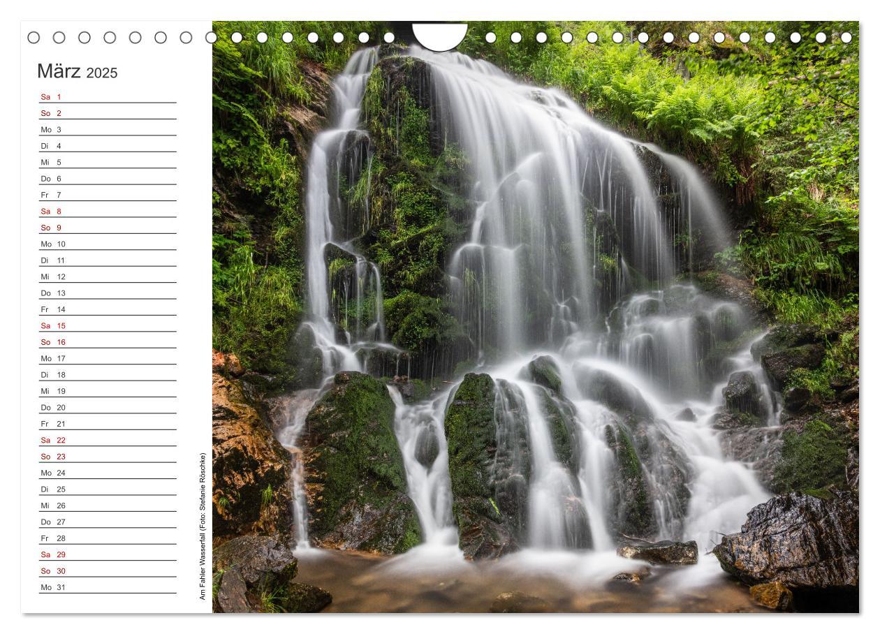 Bild: 9783383932762 | Naturvielfalt Wiesental (Wandkalender 2025 DIN A4 quer), CALVENDO...