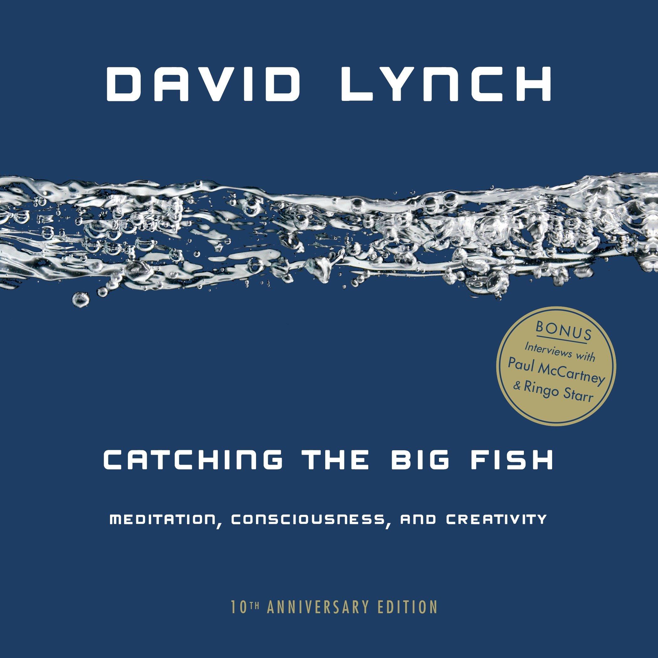 Cover: 9780143130147 | Catching the Big Fish | Meditation, Consciousness, and Creativity