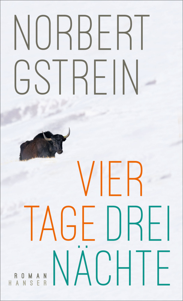 Cover: 9783446273986 | Vier Tage, drei Nächte | Roman | Norbert Gstrein | Buch | 352 S.