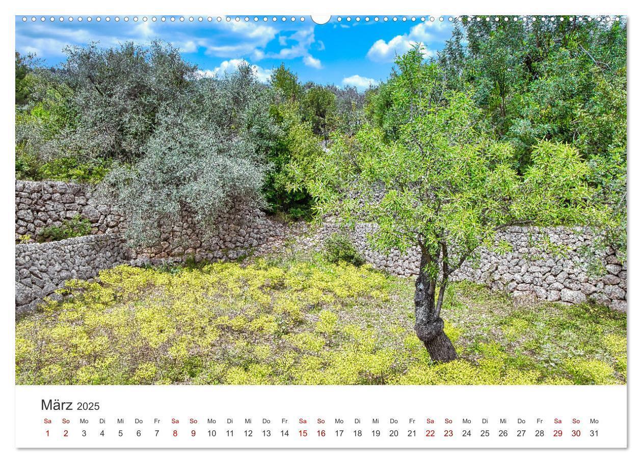 Bild: 9783435061020 | Mallorca Traumhafte Insel (Wandkalender 2025 DIN A2 quer), CALVENDO...