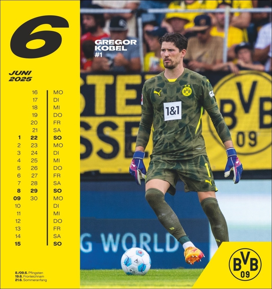 Bild: 9783756405473 | BVB Postkartenkalender 2025 | Kalender | Spiralbindung | 13 S. | 2025