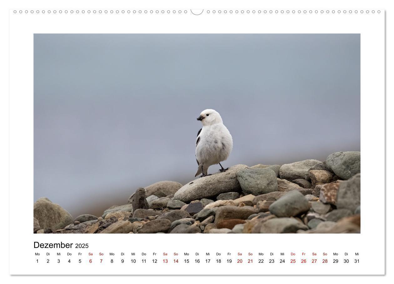 Bild: 9783383885167 | Spitzbergen und der Polarkreis (hochwertiger Premium Wandkalender...