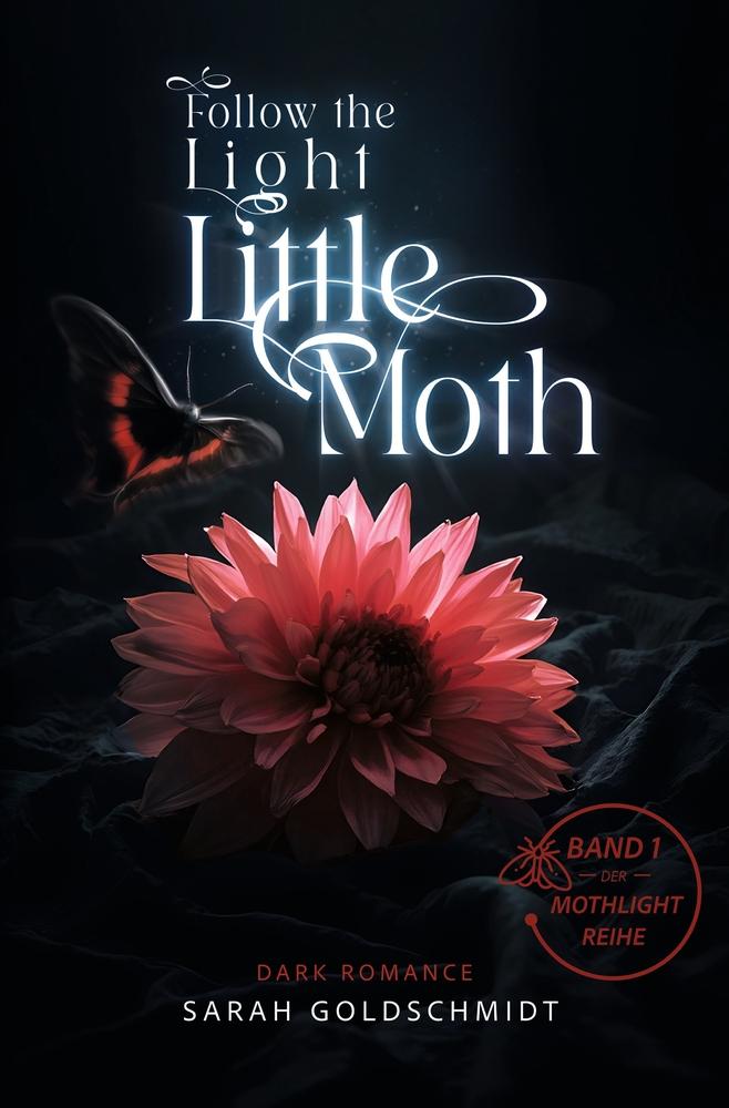 Cover: 9783759267788 | follow the light little moth | Sarah Goldschmidt | Taschenbuch | 2024