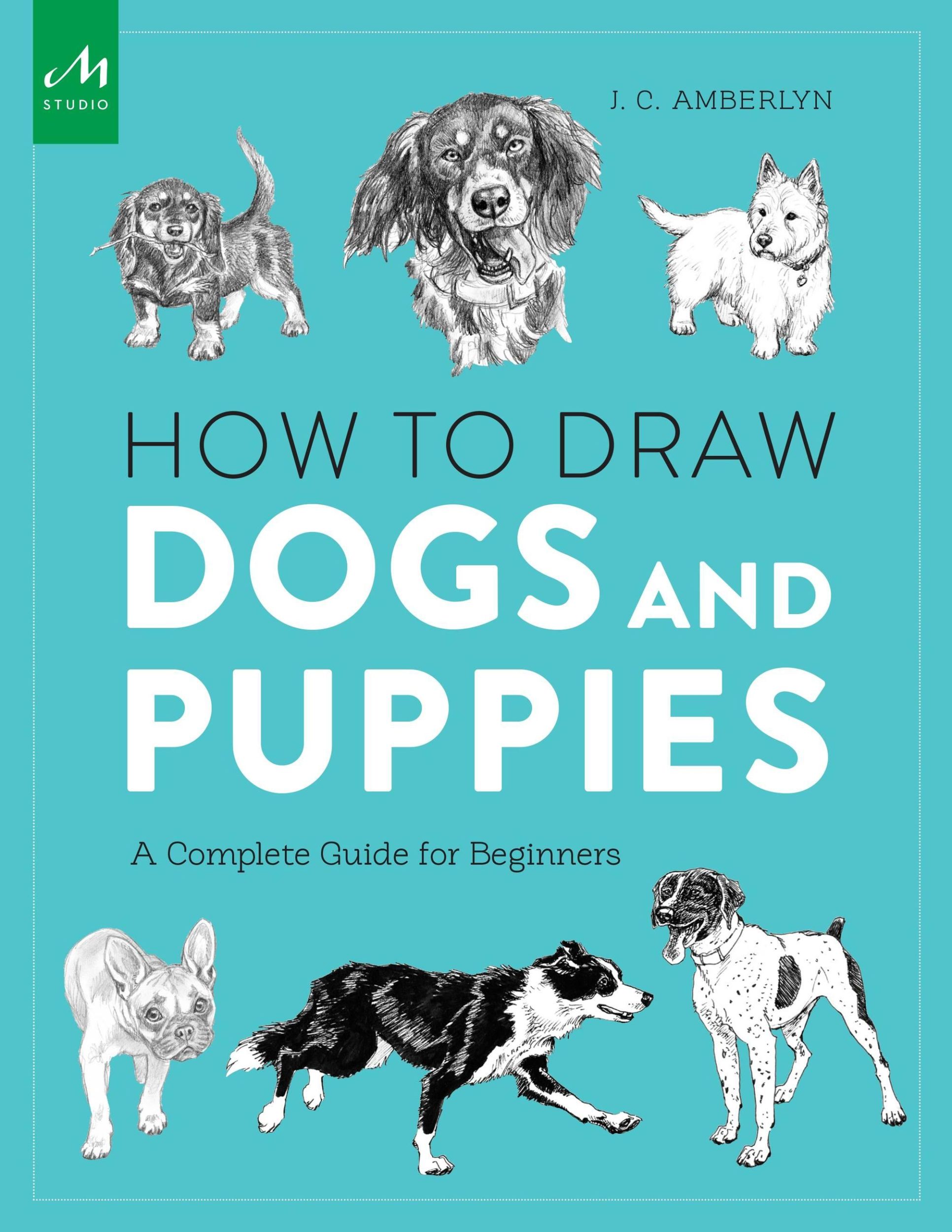 Cover: 9781580934541 | How to Draw Dogs and Puppies | A Complete Guide for Beginners | Buch