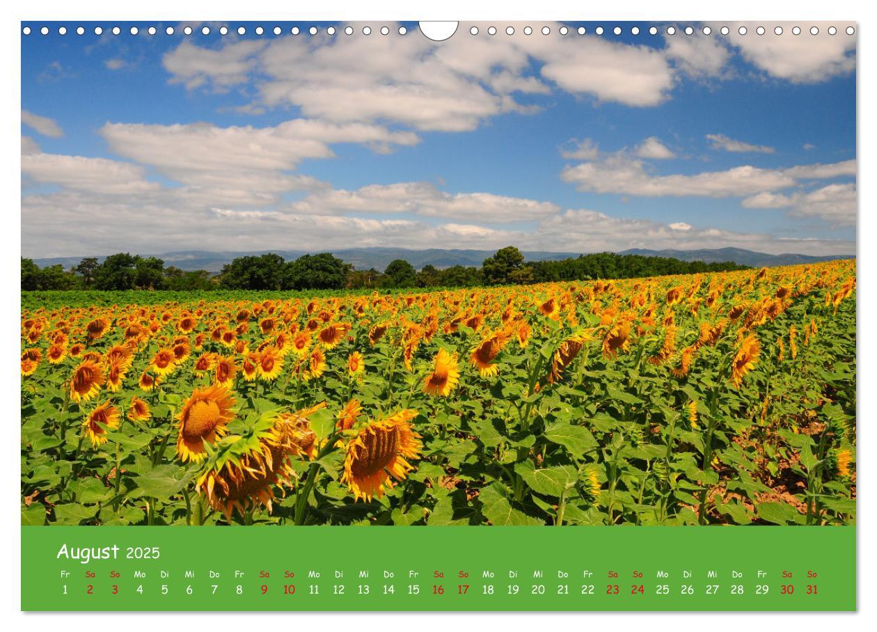 Bild: 9783435349326 | Quer durch Südfrankreich (Wandkalender 2025 DIN A3 quer), CALVENDO...