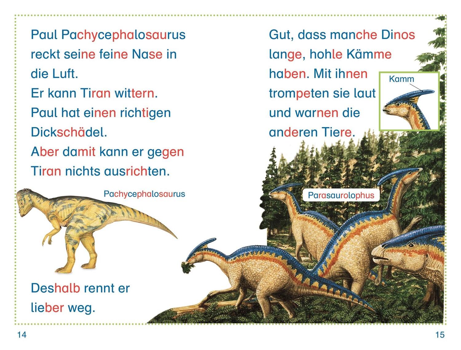 Bild: 9783831047475 | SUPERLESER! Dino in Gefahr | Susanne Böse | Buch | SUPERLESER! | 36 S.