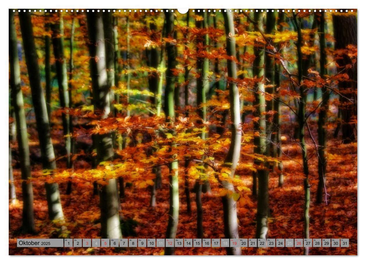 Bild: 9783435520138 | Spaziergang durch den Zauberwald (Wandkalender 2025 DIN A2 quer),...