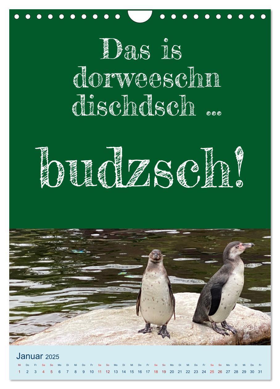 Bild: 9783457132517 | Ni schwäbborn! Mundart und Dialekt Kalender Sachsen (Wandkalender...