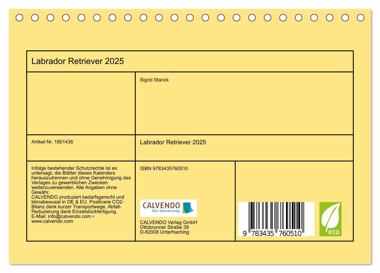 Bild: 9783435760510 | Labrador Retriever 2025 (Tischkalender 2025 DIN A5 quer), CALVENDO...