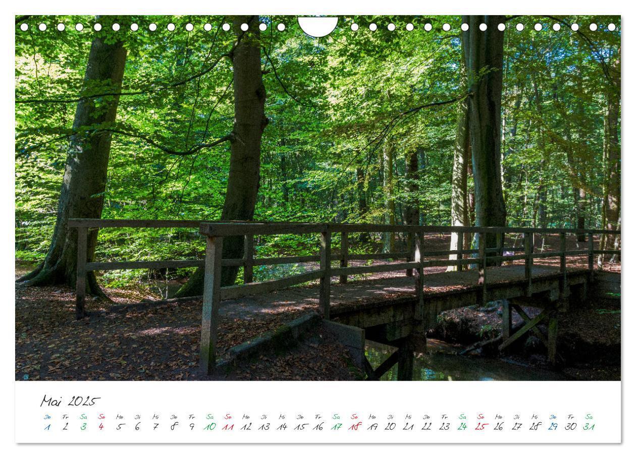 Bild: 9783435423149 | Delmenhorst Spätsommerbilder (Wandkalender 2025 DIN A4 quer),...