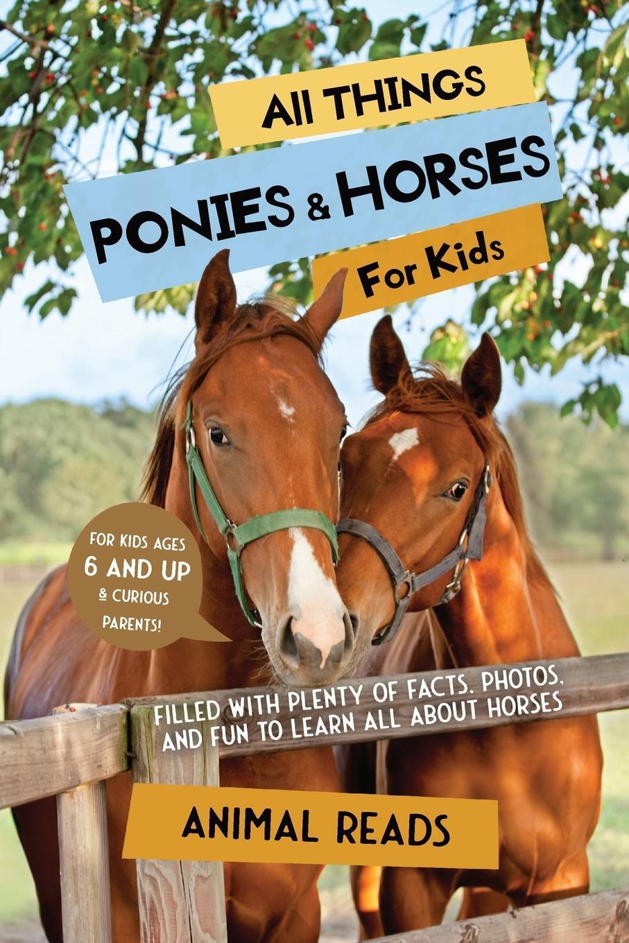 Cover: 9783967720877 | All Things Ponies &amp; Horses For Kids | Animal Reads | Taschenbuch