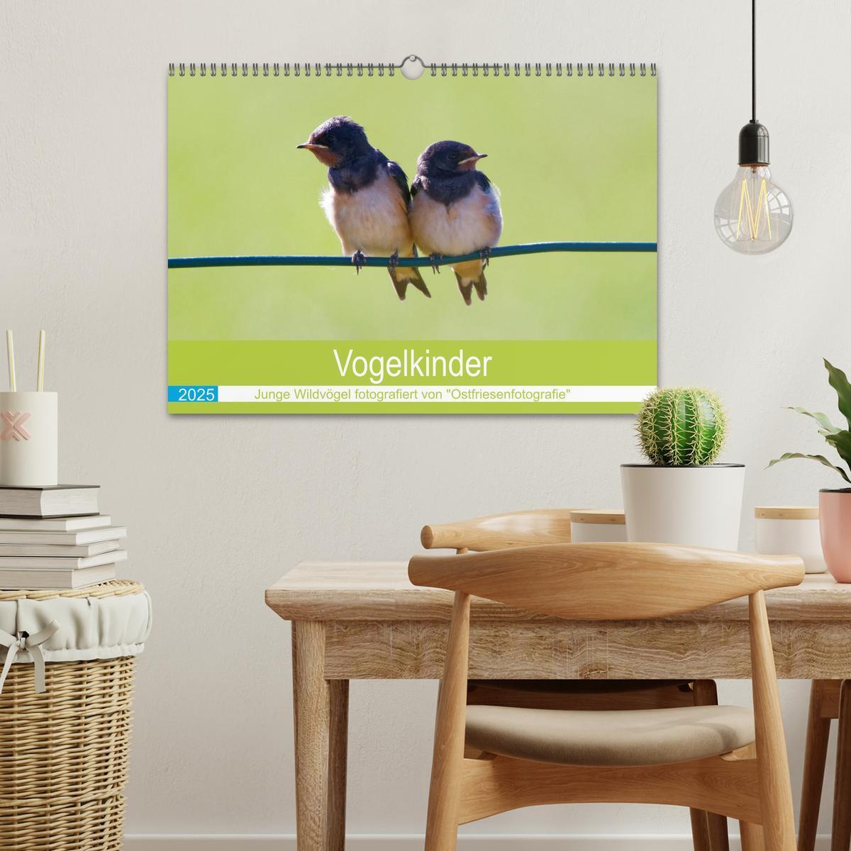 Bild: 9783435028894 | Vogelkinder - Junge Wildvögel (Wandkalender 2025 DIN A3 quer),...