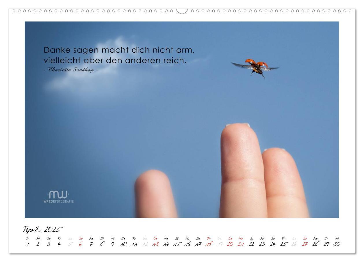 Bild: 9783435657629 | Gedanken... Bildkalender mit Sprüchen (Wandkalender 2025 DIN A2...