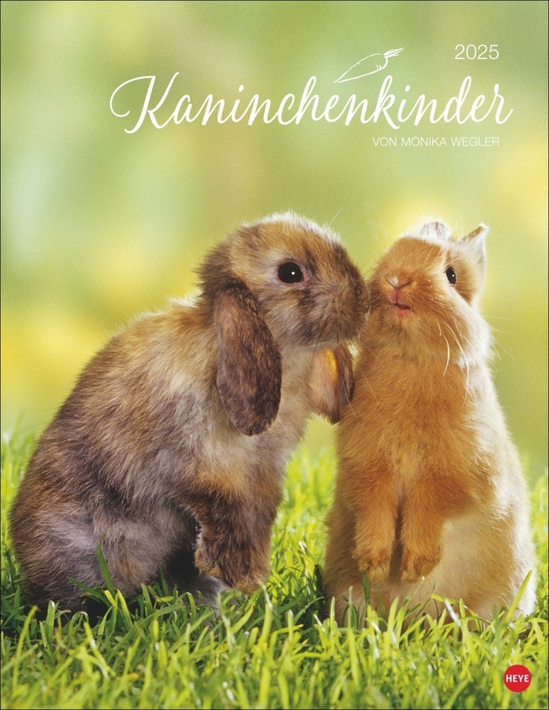 Cover: 9783756405312 | Kaninchenkinder Posterkalender 2025 | Monika Wegler | Kalender | 14 S.