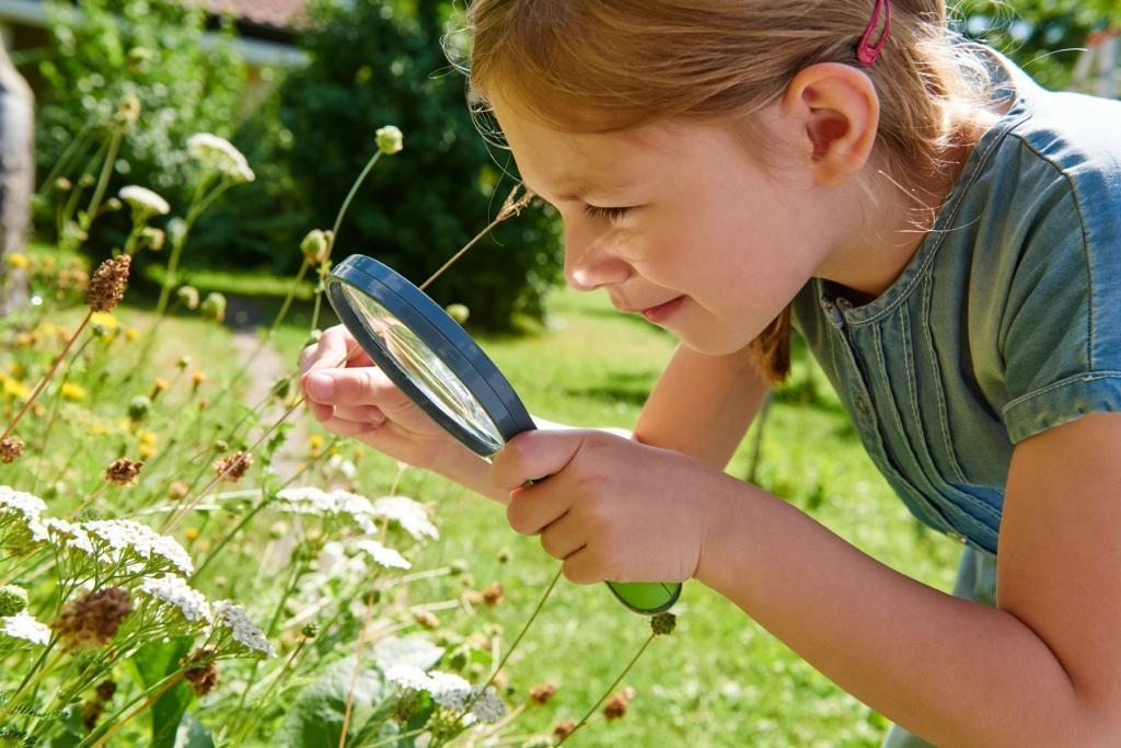 Bild: 4010168232997 | Terra Kids Kinder-Lupe | Stück | Terra Kids | Deutsch | 2018