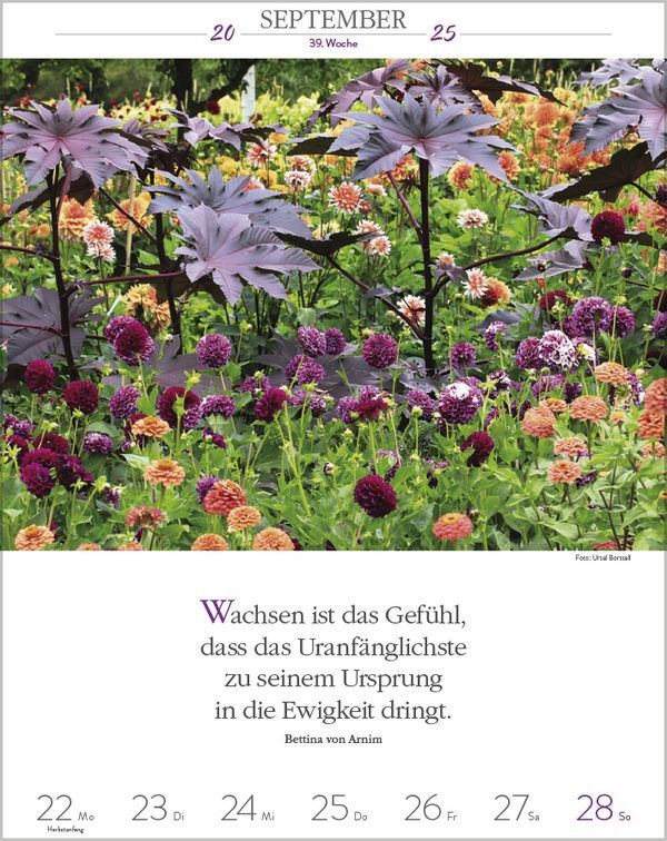 Bild: 9783731879497 | Literaturkalender Gartenlust 2025 | Korsch Verlag | Kalender | 54 S.