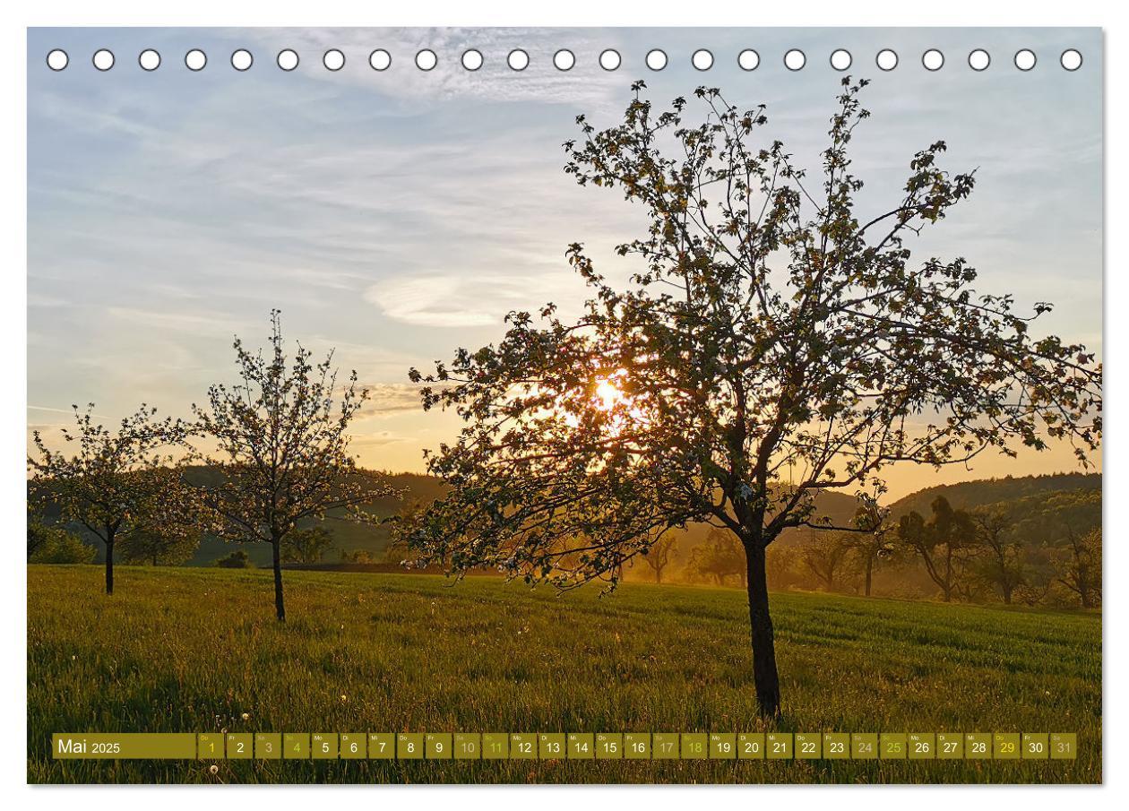 Bild: 9783435061631 | Apfelbaum und Streuobstwiesen (Tischkalender 2025 DIN A5 quer),...