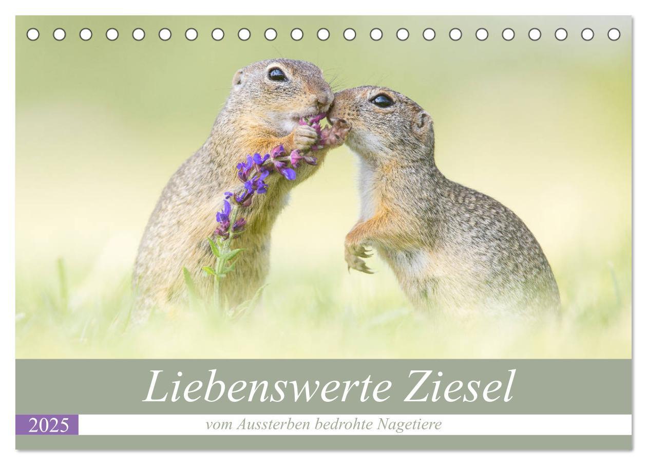 Cover: 9783435300846 | Liebenswerte Ziesel - vom Aussterben bedrohte Nagetiere...