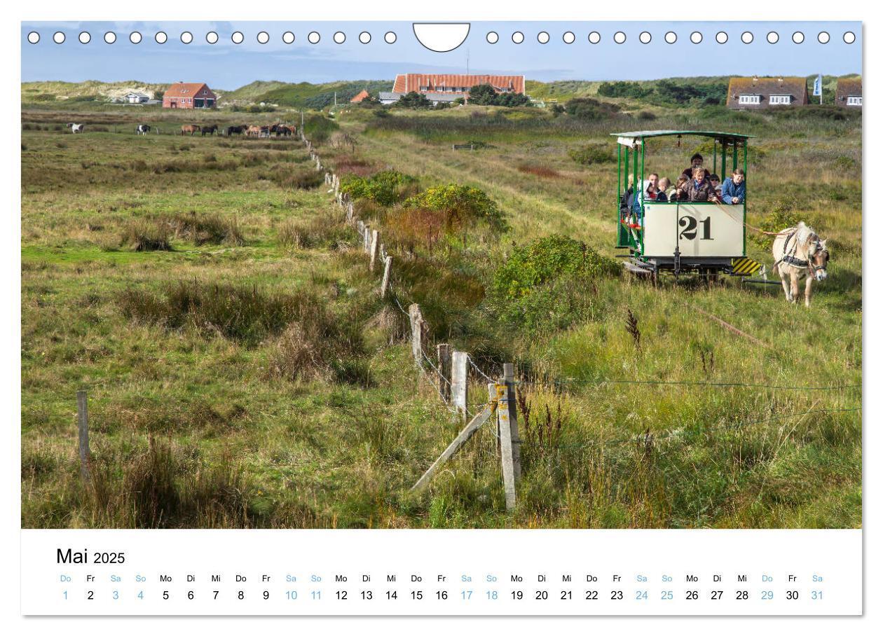 Bild: 9783435379255 | Lieblingsinsel Spiekeroog (Wandkalender 2025 DIN A4 quer), CALVENDO...