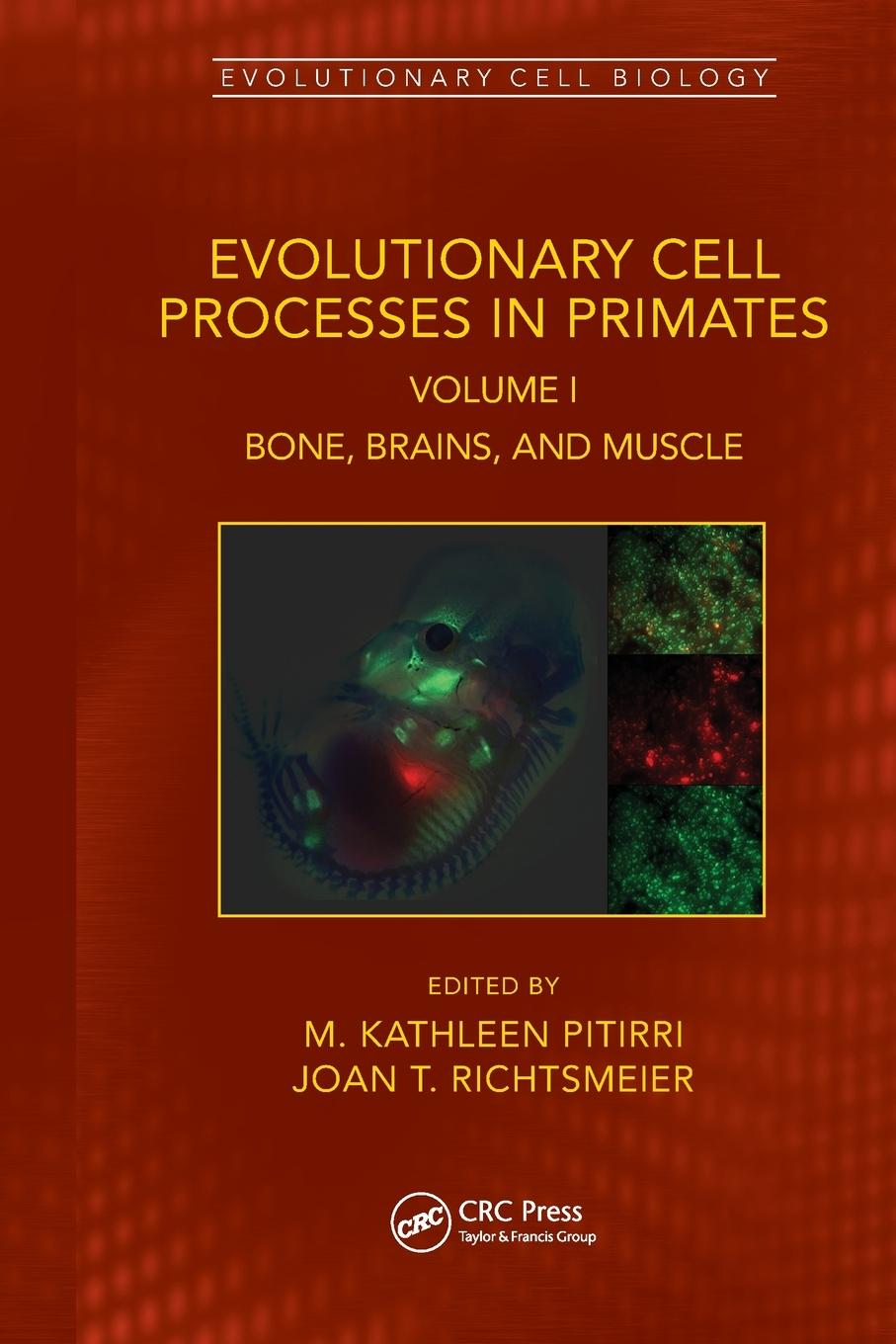 Cover: 9781032072715 | Evolutionary Cell Processes in Primates | M. Kathleen Pitirri (u. a.)