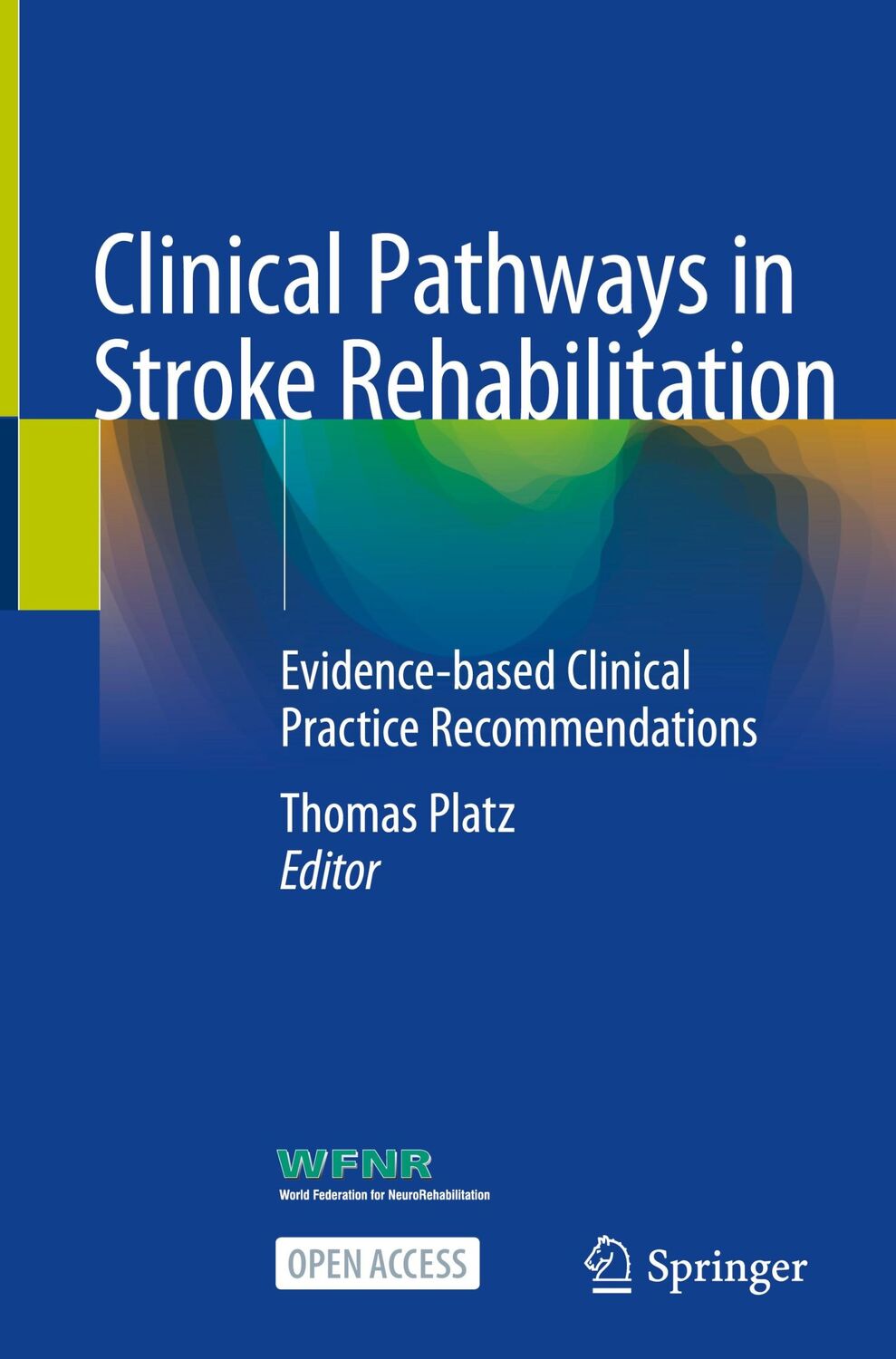 Cover: 9783030585044 | Clinical Pathways in Stroke Rehabilitation | Thomas Platz | Buch | xii