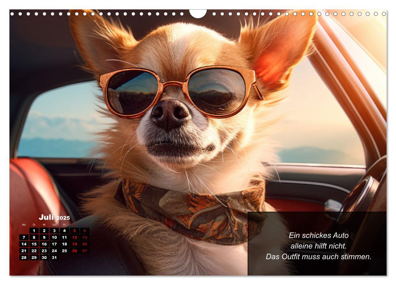 Bild: 9783457129425 | Lustige Chihuahua-Momente (Wandkalender 2025 DIN A3 quer), CALVENDO...