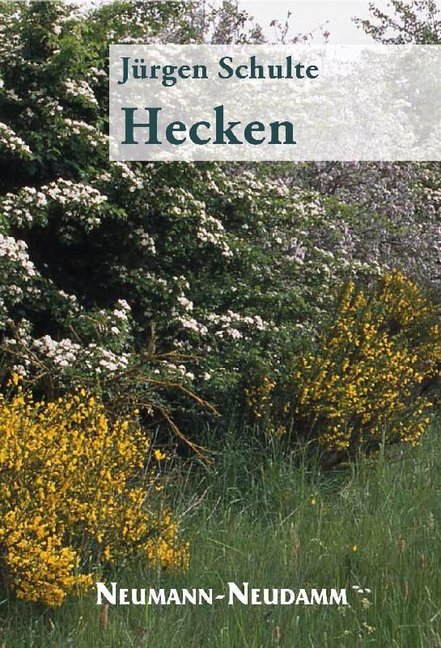 Cover: 9783788816445 | Hecken | Jürgen Schulte | Taschenbuch | Klappenbroschur | 64 S. | 2015