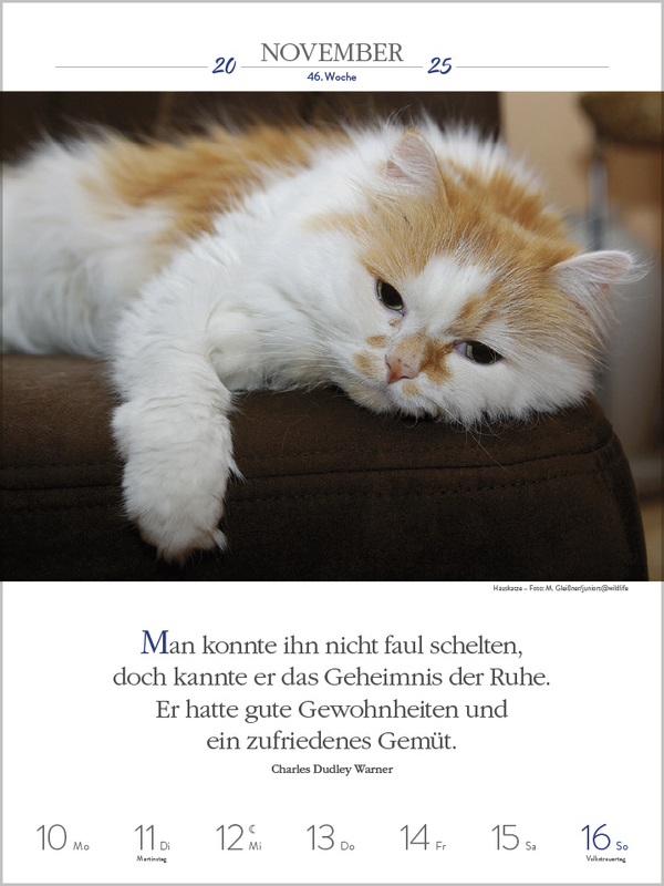 Bild: 9783731877226 | Literaturkalender Katzen 2025 | Korsch Verlag | Kalender | 54 S.