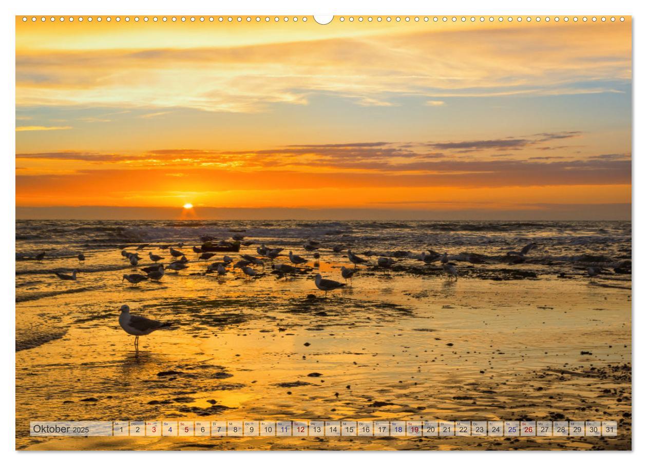 Bild: 9783435106264 | Texel - Kleine Insel, große Vielfalt (Wandkalender 2025 DIN A2...