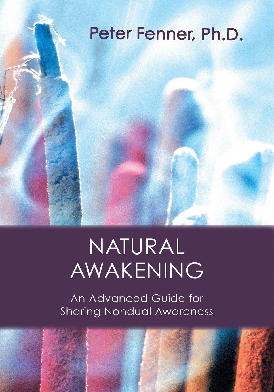 Cover: 9781896559247 | Natural Awakening | An Advanced Guide for Sharing Nondual Awareness