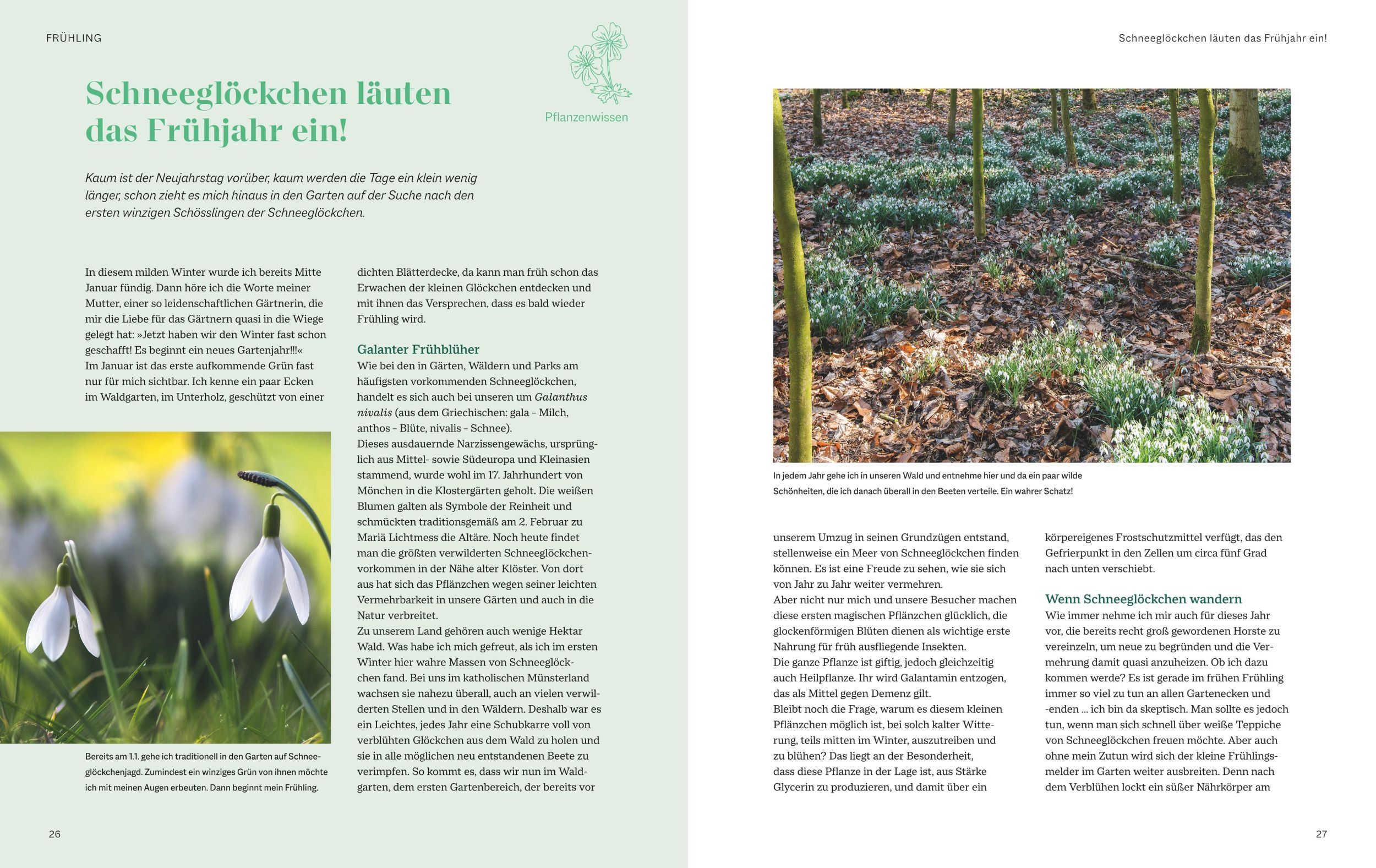 Bild: 9783967471137 | Ein Jahr in unserem Landgarten | Cristine Bendix | Buch | 288 S.