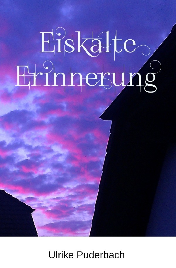 Cover: 9783737580731 | Hannover-Krimis / Eiskalte Erinnerung | Ulrike Puderbach | Taschenbuch