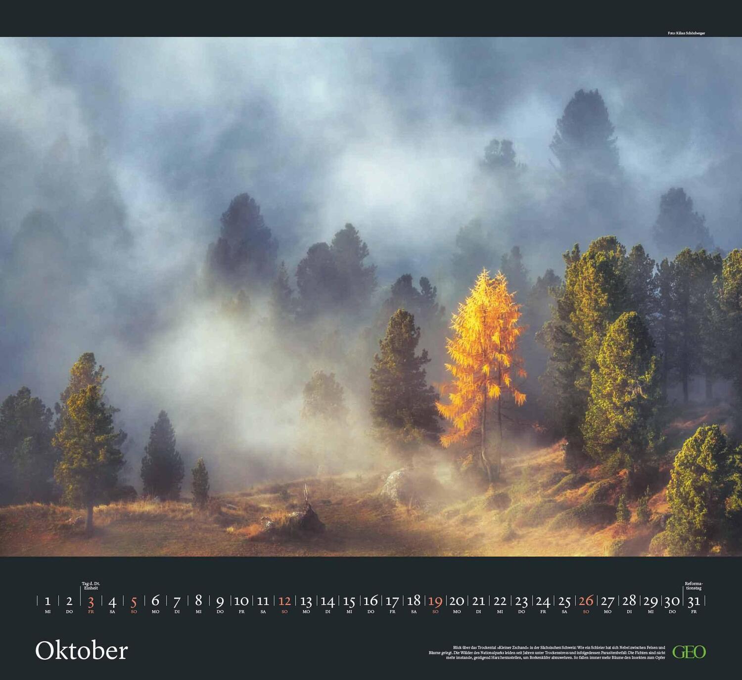 Bild: 4002725988683 | GEO Kalender: Sehnsucht Wald 2025 - Wand-Kalender - Natur-Kalender...