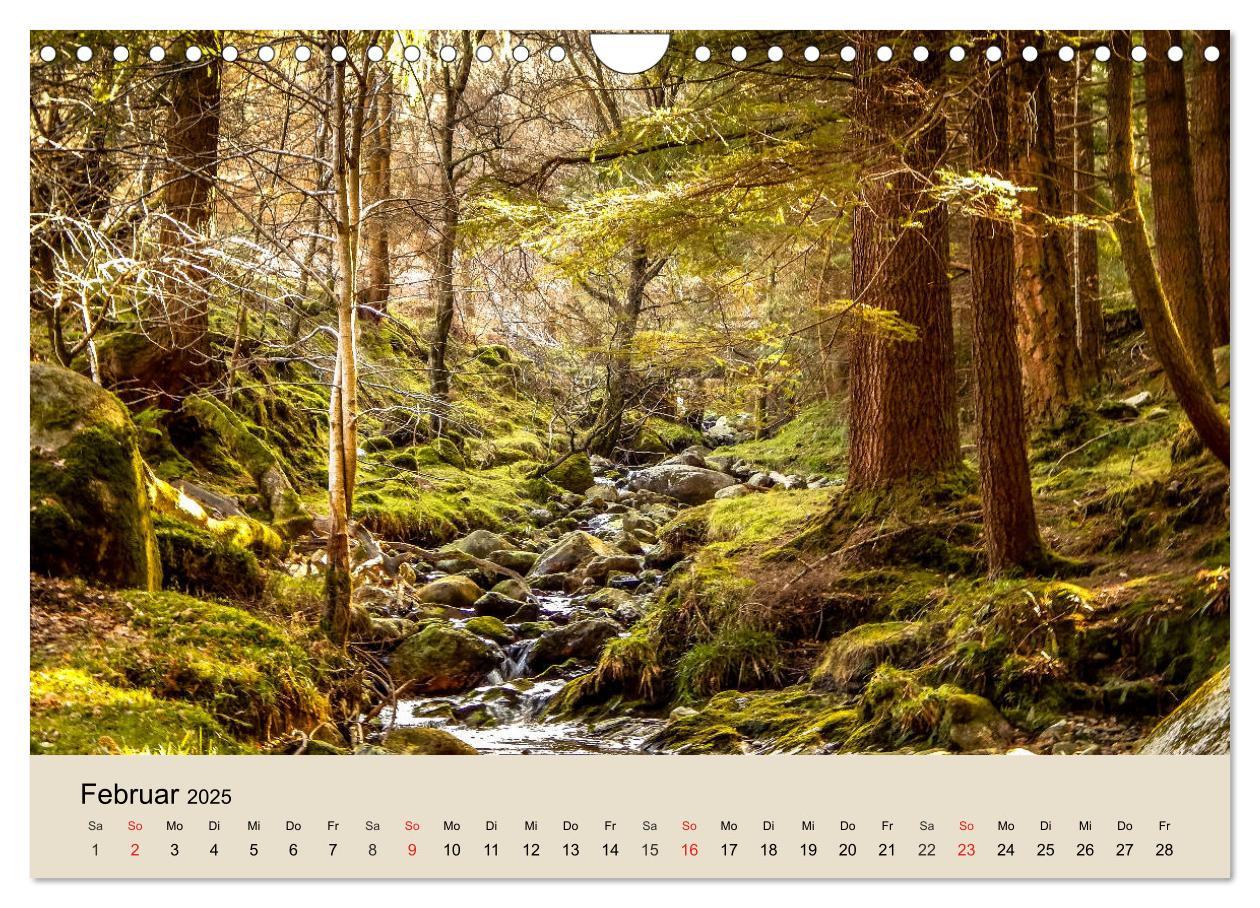 Bild: 9783435318612 | Der Wald. Durch zauberhafte Waldlandschaften (Wandkalender 2025 DIN...