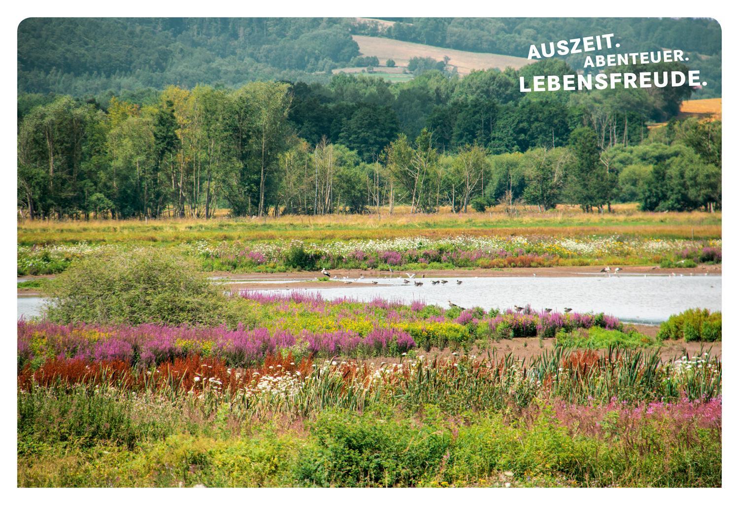 Bild: 9783616110240 | 52 kleine & große Eskapaden Kassel und Nordhessen | Ab nach draußen!