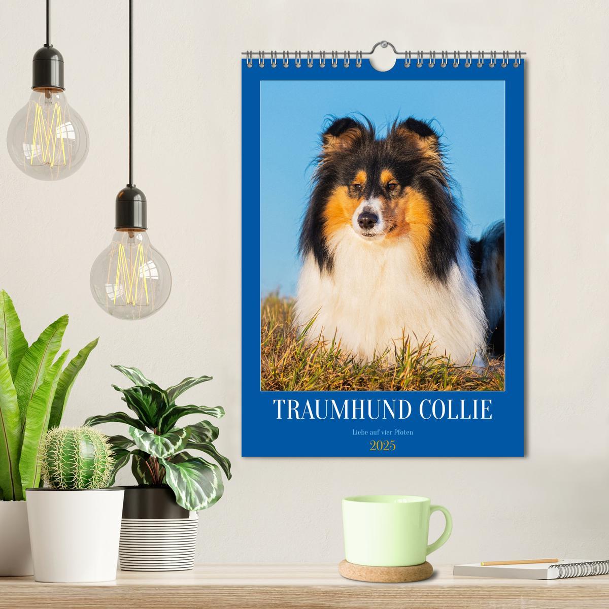 Bild: 9783457159118 | Traumhund Collie - Liebe auf vier Pfoten (Wandkalender 2025 DIN A4...