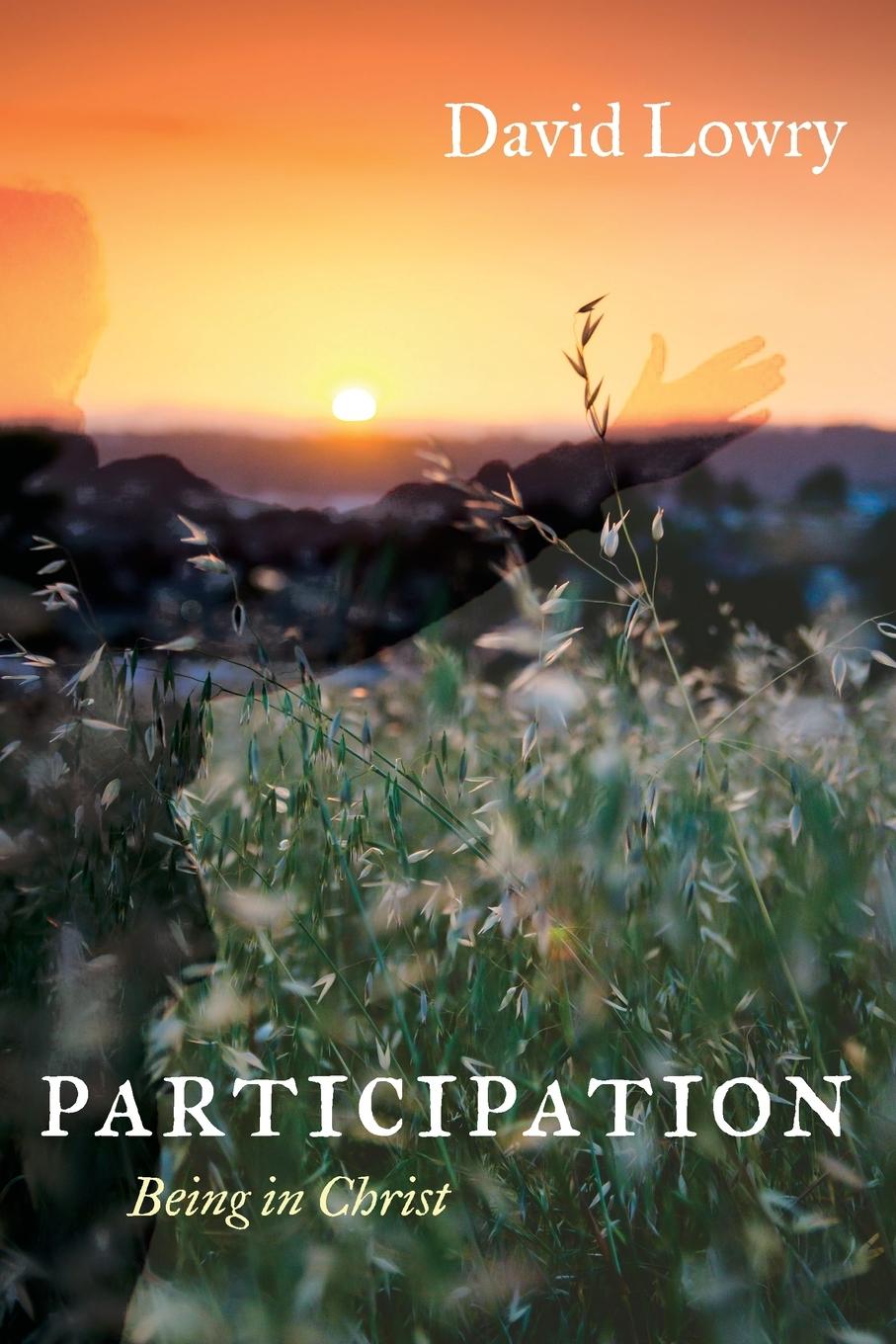 Cover: 9781666734904 | Participation | David Lowry | Taschenbuch | Englisch | 2022