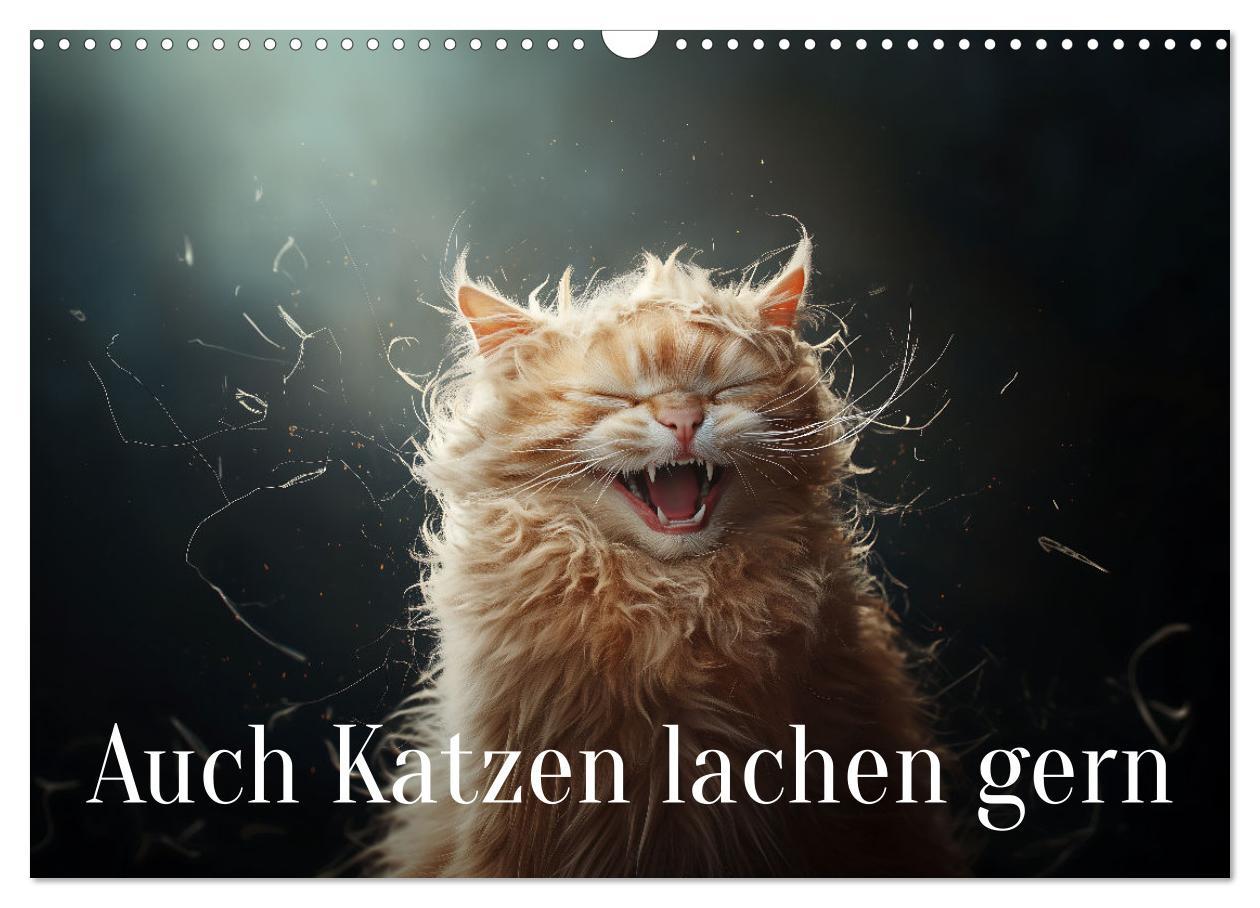 Cover: 9783457202005 | Auch Katzen lachen gern (Wandkalender 2025 DIN A3 quer), CALVENDO...