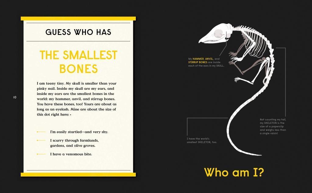 Bild: 9780714875118 | Book of Bones | 10 Record-Breaking Animals | Gabrielle Balkan | Buch