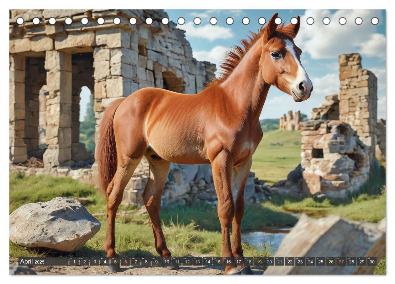 Bild: 9783457171042 | Schöne wilde Mustangs (Tischkalender 2025 DIN A5 quer), CALVENDO...