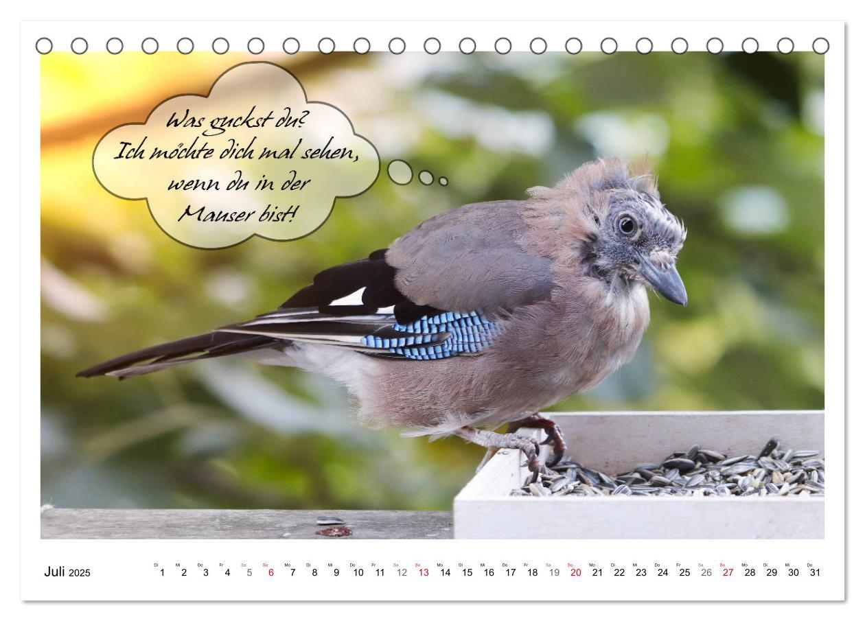 Bild: 9783435113446 | Vögel mit Humor (Tischkalender 2025 DIN A5 quer), CALVENDO...