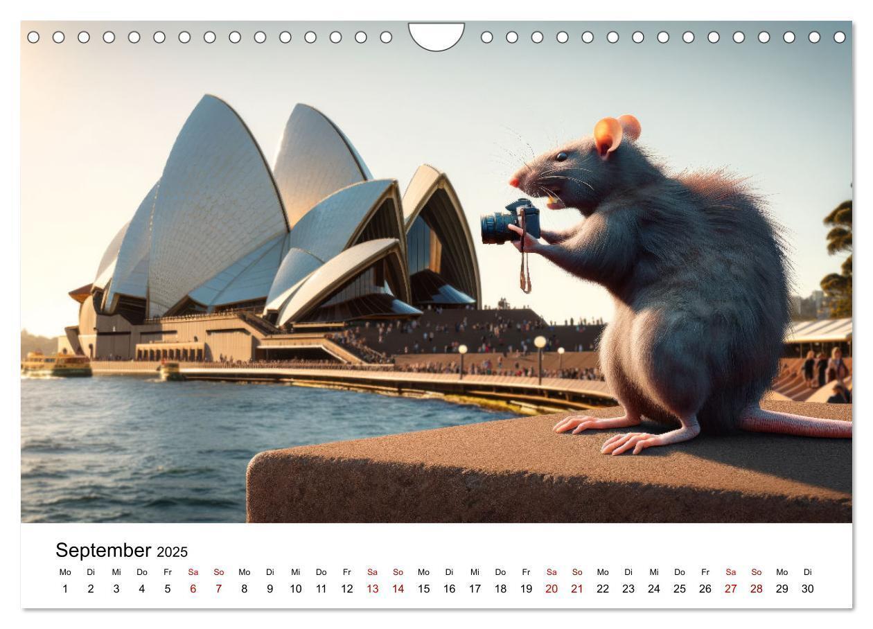 Bild: 9783383787539 | Ratten auf Reisen (Wandkalender 2025 DIN A4 quer), CALVENDO...