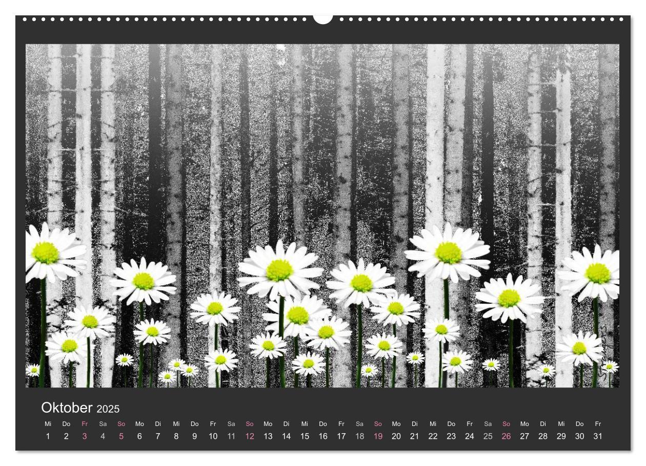 Bild: 9783435648924 | Schwarzwald. Anders. (Wandkalender 2025 DIN A2 quer), CALVENDO...